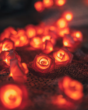 LED Rose Flower String Lights | Handmade | Fairy lights | Wedding | Bedroom Decoration Gift | Rose gift | Flower | Christmas | Valentine's Joshua Griffen Photography