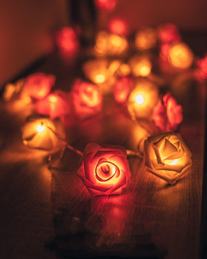 USB/Battery Operated 10/20/40 LED Rose Flower String Lights Artificial Flower Bouquet Garland for Valentine's Day Wedding Party Joshua Griffen Photography