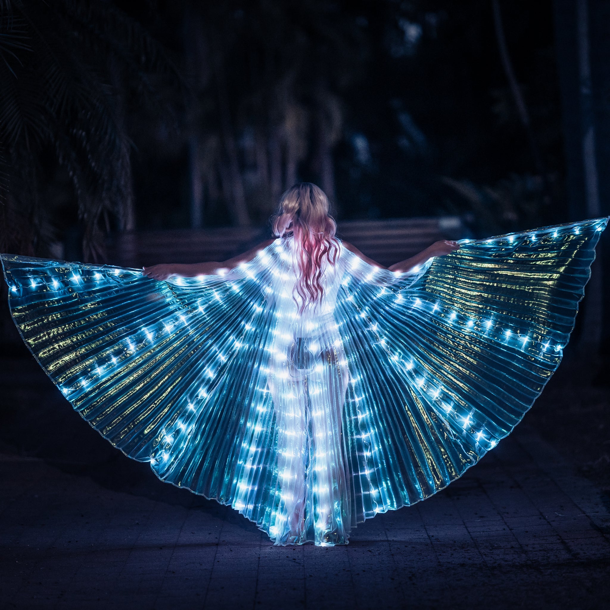 Fairy Light Wings RGB USB powered – Photo Props