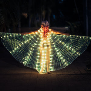 Fairy Light Wings RGB Joshua Griffen Photography
