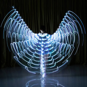 Fairy light Wings Joshua Griffen Photography