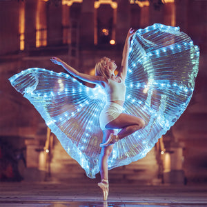 Fairy light Wings Joshua Griffen Photography